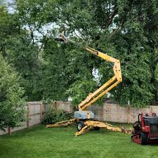 Best Tree and Shrub Care  in Broken Bow, NE